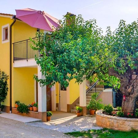 Studio Apartment Gianni Vizinada Bagian luar foto