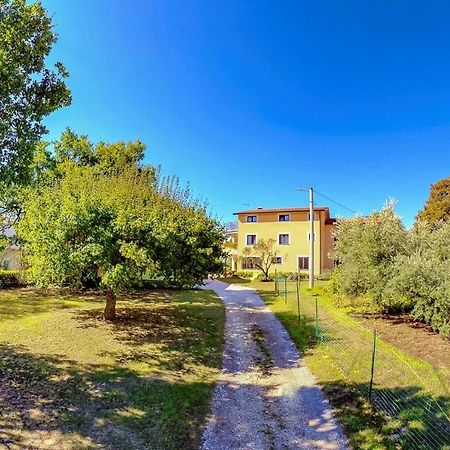 Studio Apartment Gianni Vizinada Bagian luar foto